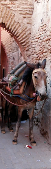 Rue de Marrakeck